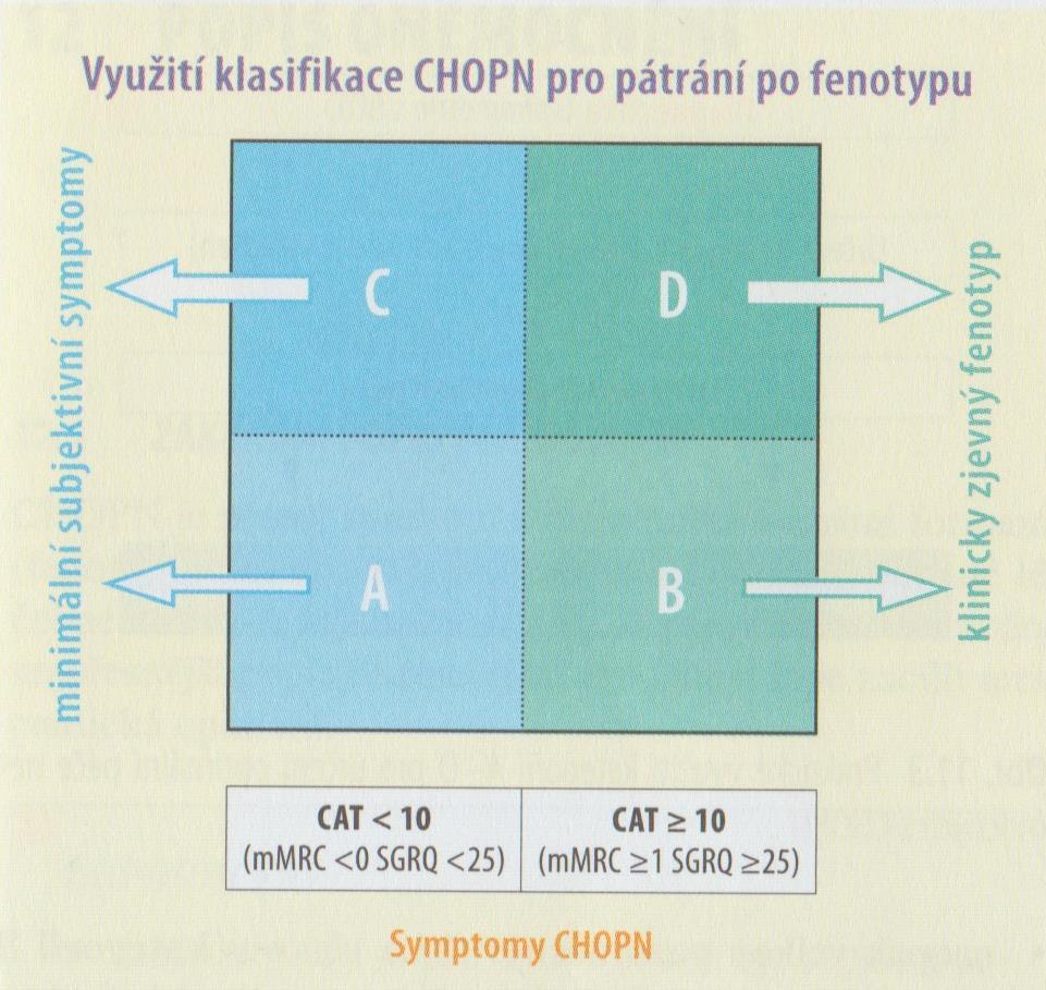 Obrázek č. 6. Vztah kategorií a fenotypu CHOPN [3] Terapii lze dle doporučení České pneumologické a ftizeologické společnosti (ČPFS) rozdělit na čtyři postupné kroky. 1.