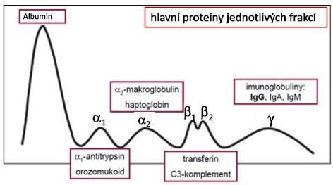 Jana Švarcová. Plazmatické proteiny.