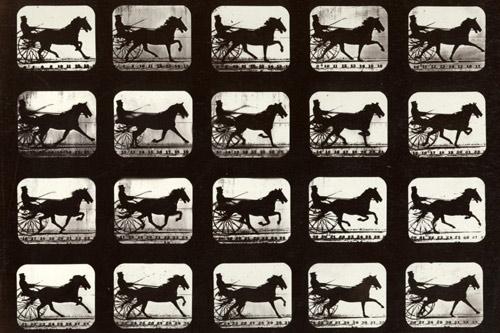 Obr. č. 16. Pohyb ve fotografii. (Anděl, 2012: 133). Muybridge dále experimentoval se zobrazením pohybu také u jiných zvířat a lidí 142.