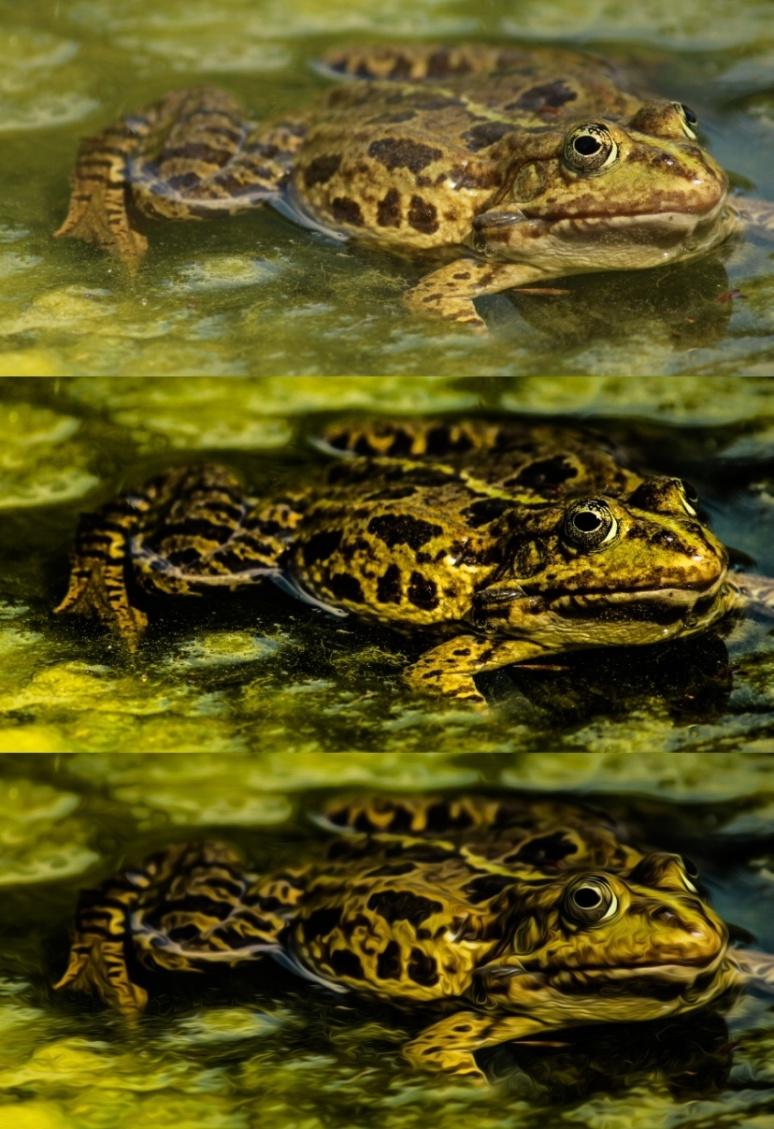 Pro doplnění a komparaci s efekty nejmodernějších technik zobrazování a zpracování fotografií uvádím dva příklady (viz obr. č. 20 a obr. č. 21), na kterých lze sledovat proces postprodukčního zpracování.