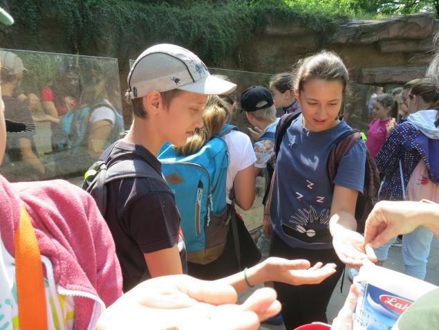6. B úspěšná v pěvecké soutěži ke kampani Silent Forest a zážitkový program v ZOO Brno Naše třída 6.