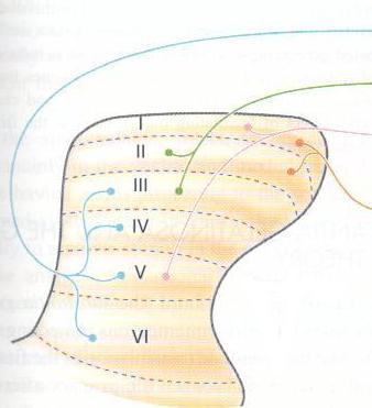 Obr. 1.