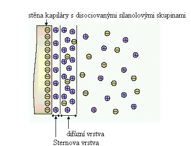 Na vnitřní straně kapiláry je nepohyblivá vrstva právě těchto negativně nabytých silanolavých skupin. Ty jsou kompenzovány nepohyblivou vrstvou opačného náboje vznikající z kationtů - Sternova vrstva.