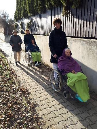 Ti malí svišti jsou totiž