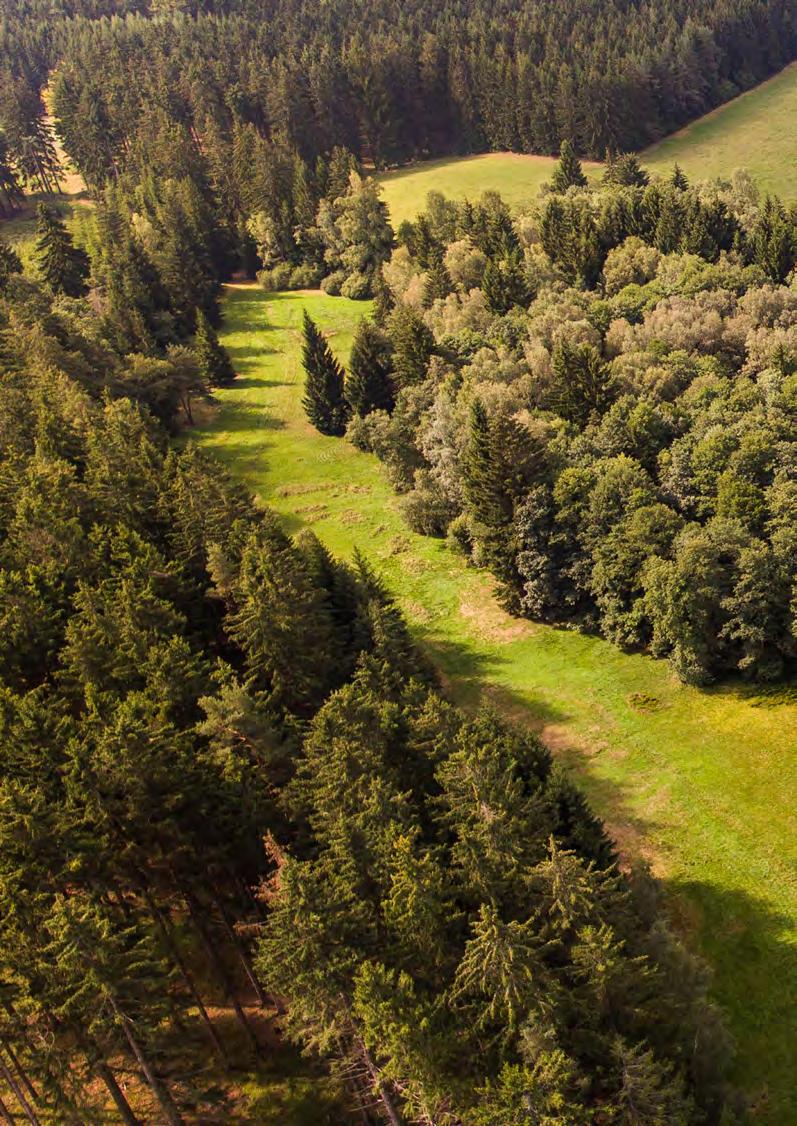 LÉTO 2018 ZPRÁVY ZE SPRÁVY ZPRAVODAJ SPRÁVY ÚLOŽIŠŤ RADIOAKTIVNÍCH ODPADŮ TÉMA Hydrogeologický průzkum v lokalitách 6