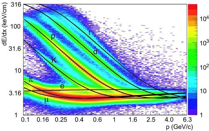 Figure 4.: Plot of energy loss for common charged particles. he Bichsel functions (corresponding to mean energy loss) are shown as the black lines.
