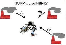 Vzorky v prostředí KOMPLEXNÍ SMĚSI (1) ADITIVITA - nejčastější princip v realitě směsí - základní princip kumulativní toxicity = Aditivní model - nejčastější u látek s "nespecifickým"