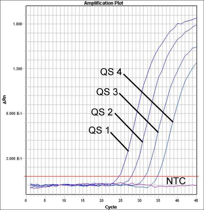 Obr. 24: Prkaz Kvantifikaních standard (HSV1 LC/RG/TM QS 1-4) detekcí fluorescenního signálu FAM (ABI