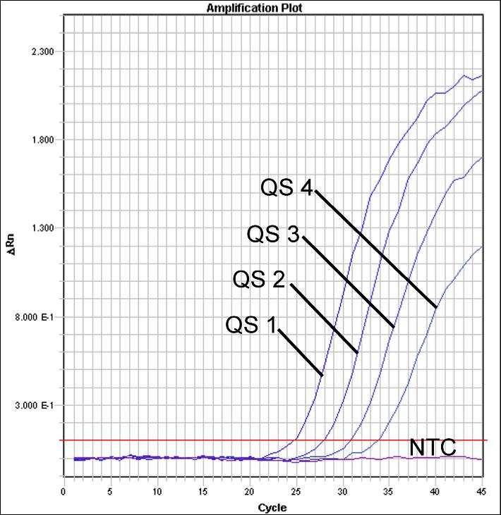 Obr. 26: Prkaz Kvantifikaních standard (HSV2 LC/RG/TM QS 1-4) detekcí fluorescenního signálu NED (ABI
