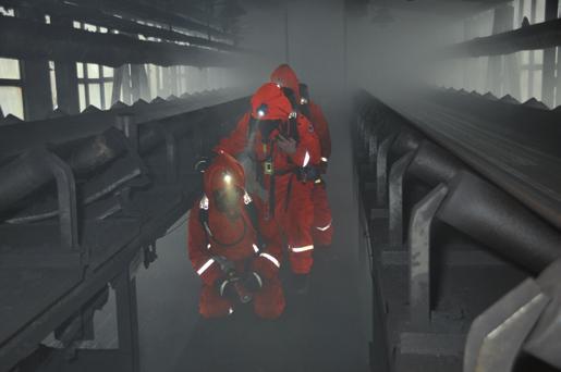 1.1 Přehled právnických a fyzických osob v obvodu působnosti, které provádějí hornickou činnost Těžba černého uhlí OKD, a. s.