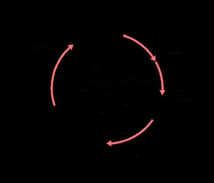 terminal forward primers 5 GGATCCATGCGGCAGGGAAAGGGC 3 or 5 GGATCCGGGCCTTCAGACCGACAG 3 respectively and C-terminal reverse complementary primer 5 CCGAATTCTCAGGCAGCAGCTAGC 3.