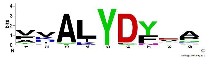 sites to all of them (py + pt + ps).