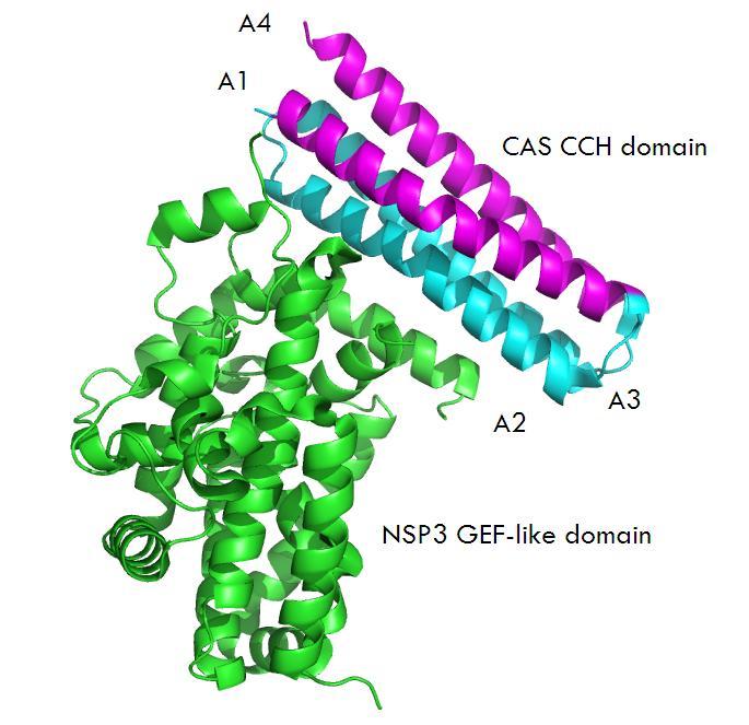 for polar amino acids. All these speculations should be based and combined with bioinformatic analysis or modeling.