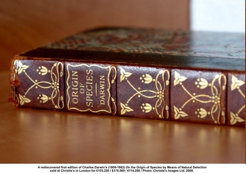 On the Origin of Species An Abstract of an Essay on the