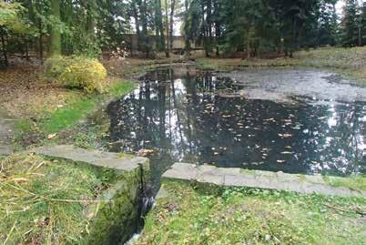 Obr. 6. Retenční nádrž pod ČOV Jesenice v parku (říjen 2016) Fig. 6. Retention basin below the WWTP Jesenice in park (October 2016) Obr. 4.