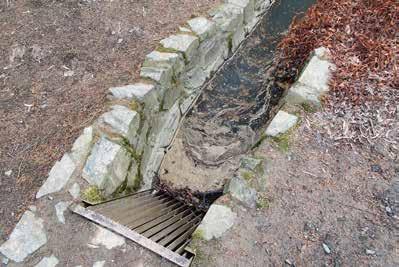 Retention basin below the WWTP Jesenice in park (October 2016) anaerobic condition Po ukončení fáze identifikace zdrojů znečištění vody jmenovaných potoků (budou-li finanční zdroje), bude v letech