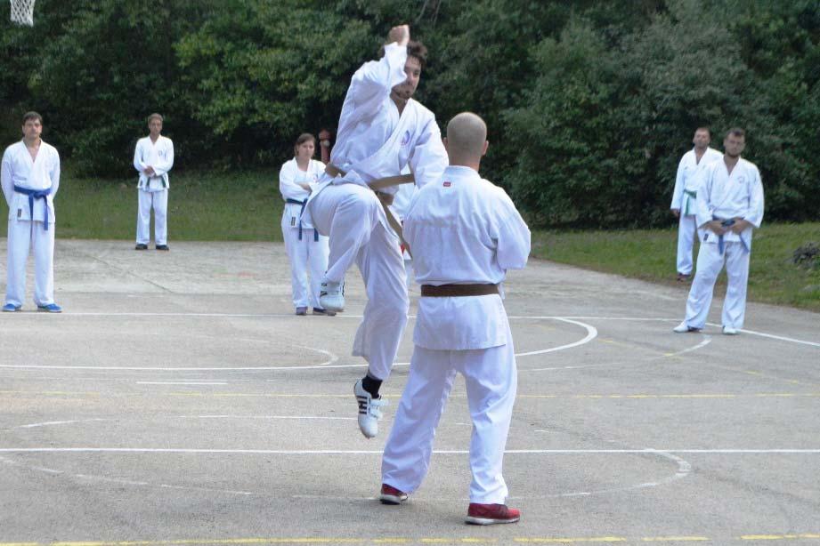detailů v sebeobranných technikách, jež vyžadují spíše přesnost a správné provedení, než sílu a rychlost. V pozdním odpoledni čekal na účastníky semináře trénink karate.
