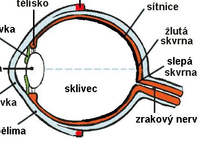 Limity vědeckého