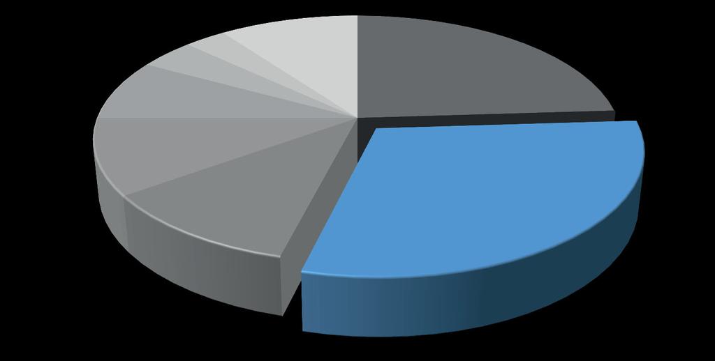 Pořizovací náklady: 10 % Ostatní náklady: 3 % Mzdové náklady: 24 %