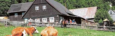 Česká republika 23. srpna 2019 13 Respondenti průzkumu zpravidla nechtějí na svou rekreační nemovitost dojíždět moc daleko.