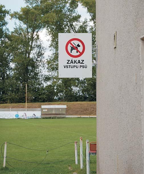 Odváží jej na skládku do Mrskles. Èistý stavební odpad mùžete na vlastní náklady odvážet do firmy Resta, Olomouc-Nový Dvùr.