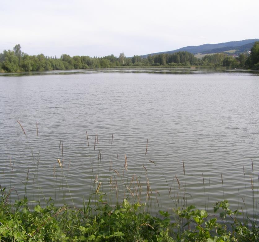 CSc. Jihočeská