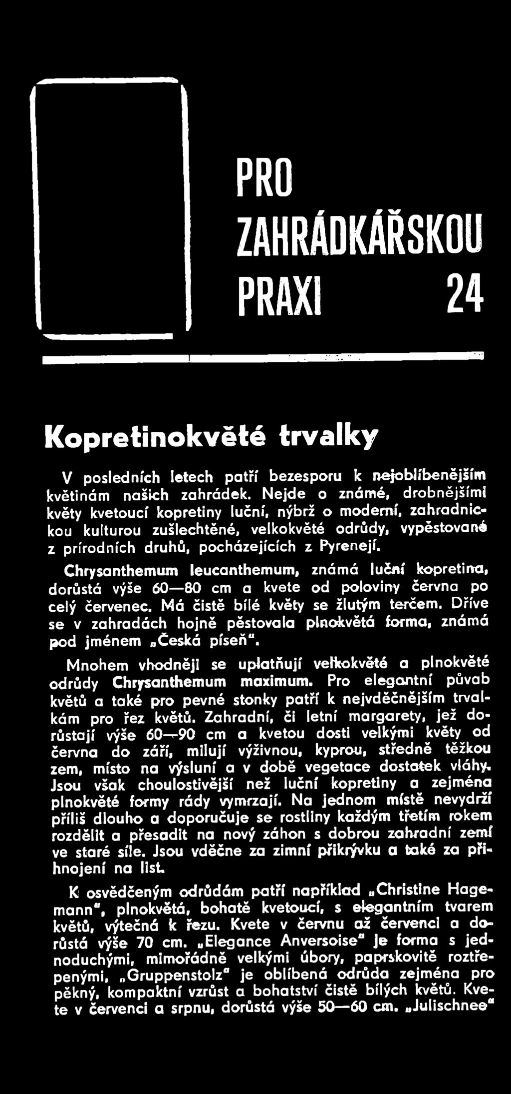 Pro elegantní půvab květů a také pro pevné stonky patří k nejvděčnějším trvalkám pro řez květů.