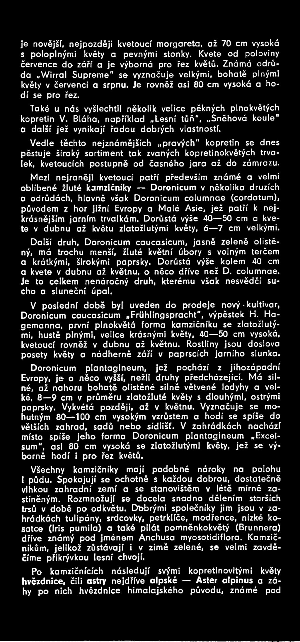 Mezi nejraněji kvetoucí patří především známé a velmi oblíbené žluté kamzičníky Doronicum v několika druzích a odrůdách, hlavně však Doronicum columnae (cordatum), původem z hor jižní Evropy a Malé