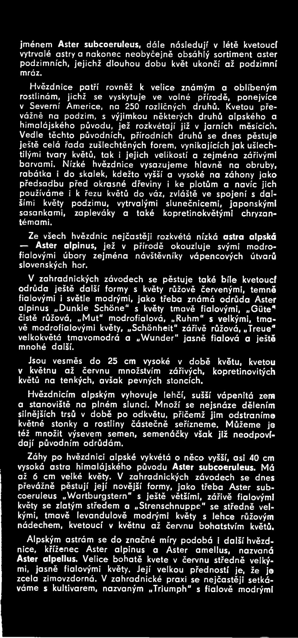 Nízké hvězdnice vysazujeme hlavně na obruby, rabátka i do skalek, kdežto vyšší a vysoké na záhony jako předsadbu před okrasné dřeviny i ke plotům a navíc jich používáme i k řezu květů do váz, zvláště