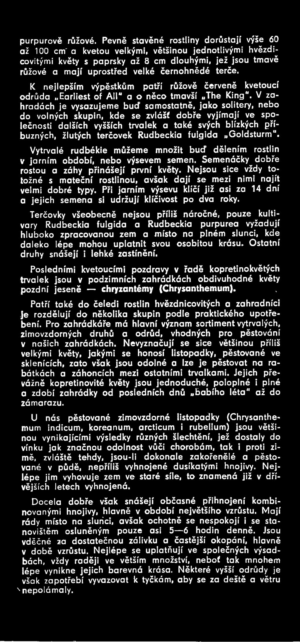 Rudbeckia fulgida Goldsturm". Vytrvalé rudbékie můžeme množit buď dělením rostlin v jarním období, nebo výsevem semen. Semenáčky dobře rostou a záhy přinášejí první květy.