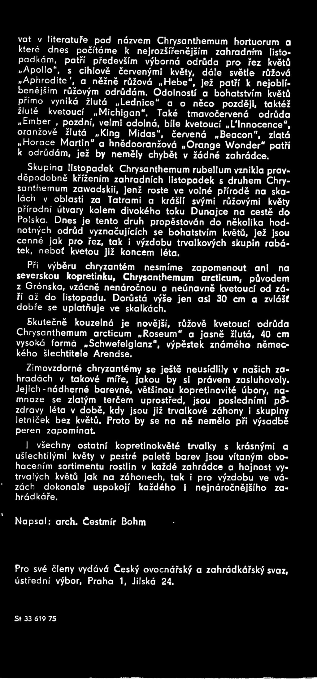 Skupina listopadek Chrysanthemum rubellum vznikla pravděpodobně křížením zahradních listopadek s druhem Chrysanthemum zawadskii, jenž roste ve volné přírodě na skalách v oblasti za Tatrami a krášlí
