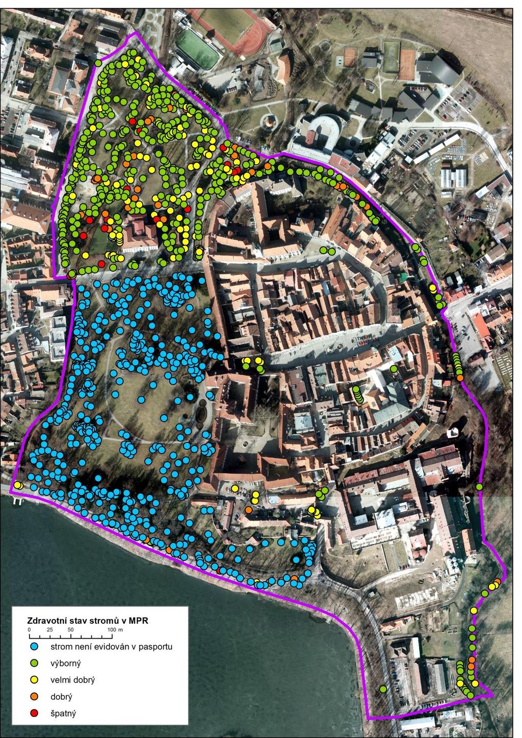 Nejčastěji jsou stromy v období aklimatizované výsadby (137 ks), mladého stromu dorůstajícího rozměrů dospělého jedince (293 ks) a dospělého stromu (145