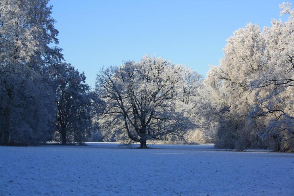 Zámecký park Kostru porostu Zámeckého parku tvoří více než 150leté stromy. Najdeme zde rozsáhlejší porosty, malé porostní skupiny i dominantní solitéry.