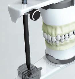 dentálních školách a snoubí