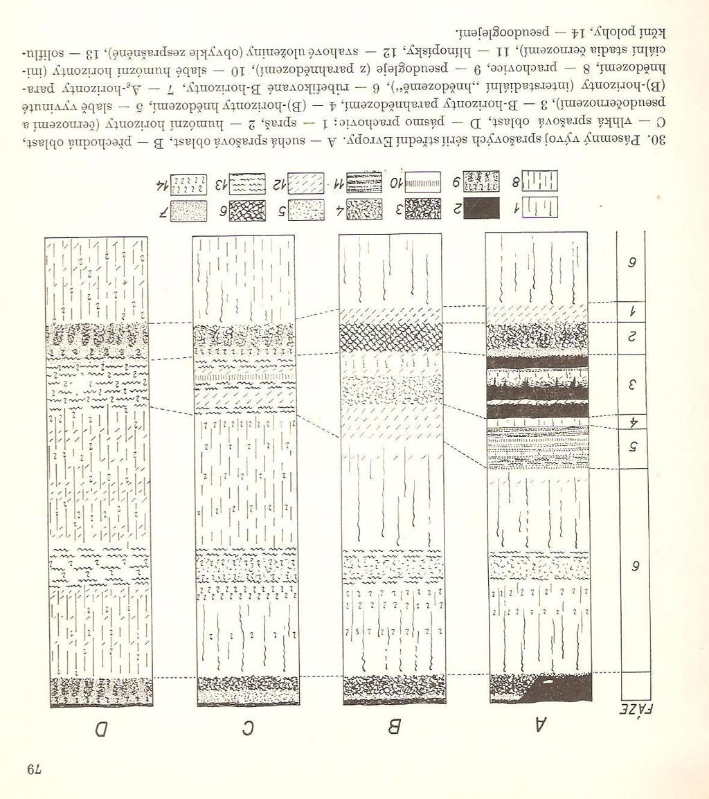 Obrázek 5: Pásemný vývoj sprašových sérií střední Evropy (Zdroj: Ložek, V., 1973, str.