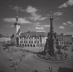 Olomouc Holice 779 585 15 41