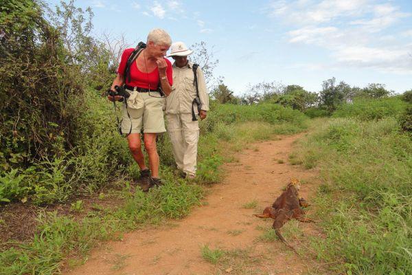 8.den pátek 2.3. Přelet na Galapágy, nalodění ostrov Santa Cruz Ranní odlet z Guayaquilu na Galapágy.