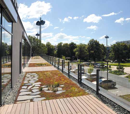 Bylo zde vysazeno 43 listnatých a jehličnatých stromů, 4 693 keřů, 4 415 trvalek a travin, instalováno 730 m² sukulentního koberce, 1 248 m² travního koberce, osazeno 20 m² mobilních nádob,