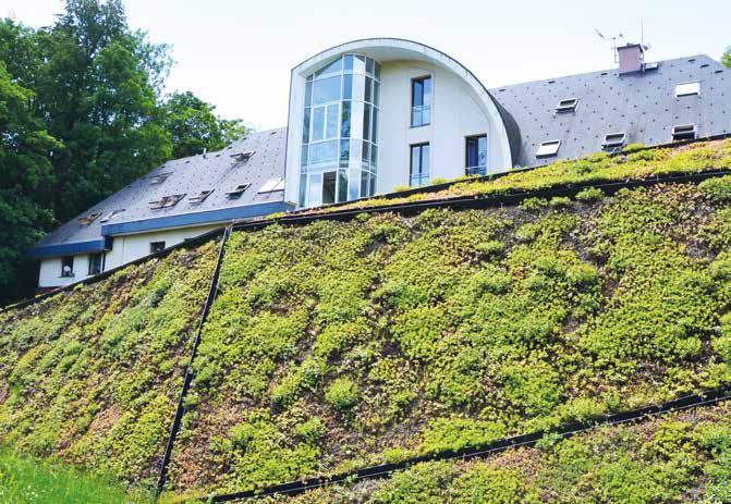 ZELENÁ STŘECHA V PODKRKONOŠÍ ZELENÁ STŘECHA ROKU 2016 Kategorie veřejná zelená střecha 3. MÍSTO Krkonošské centrum environmentálního vzdělávání Krtek Zhotovitel: Roagrotex s.r.o. Generální dodavatel: Metrostav a.