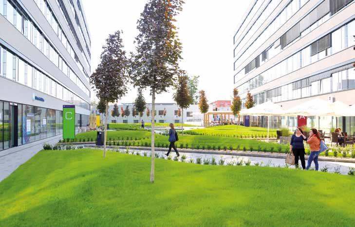 ADMINISTRATIVNÍ BUDOVA ZELENÁ STŘECHA V CENTRU BRNA ZELENÁ STŘECHA ROKU 2014 Kategorie veřejná zelená střecha 2.