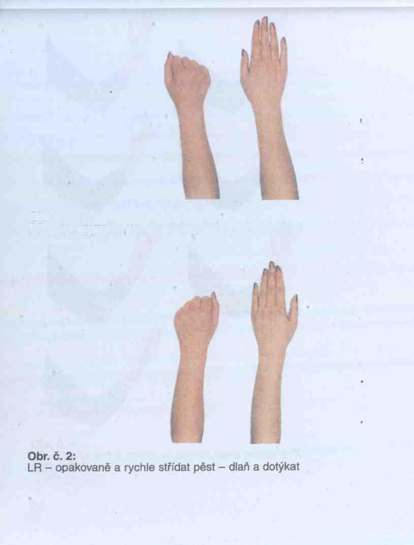 Obr. č.