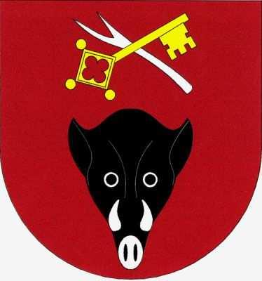 pohybových aktivit.