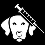 ČIPOVÁNÍ PSŮ Od 1. ledna 2020 platí pro majitelé psů povinné čipování každého psa. Z tohoto důvodu mají majitelé psů možnost v rámci očkování proti vzteklině nechat psa zároveň očipovat.