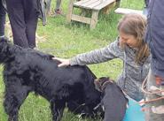Jak se chováme ke zvířatům? Jste svědkem týrání zvířat? Volejte Krajskou veterinární správu, Oddělení veterinární hygieny Havlíčkův Brod, tel. 569 430 902 nebo OŽP, tel. 569 497 202.