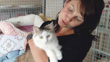 Povinnost požádat místně příslušnou KVS o registraci útulku se vztahuje bez výjimky na všechny provozovatele zařízení pro zvířata, kteří poskytují dočasnou péči toulavým a opuštěným zvířatům.