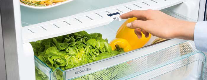 Úložný BioCool-Box s regulací úrovně pasivně získané vlhkosti pro delší čerstvost uložených potravin.