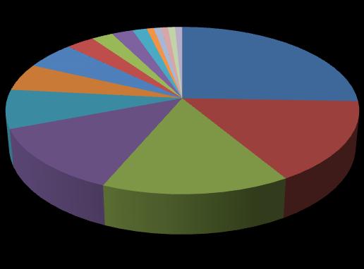 1,5% 2,3% 2,3% 5,3% 3,0% 5,3% 7,5% 12,8% Plemenná skladba sledovaných koní 0,8% 0,8% 0,8% 0,8% 0,8% 15,0% 25,6% 15,8% český teplokrevník American Paint Horse hafling kříženci American Quarter Horse