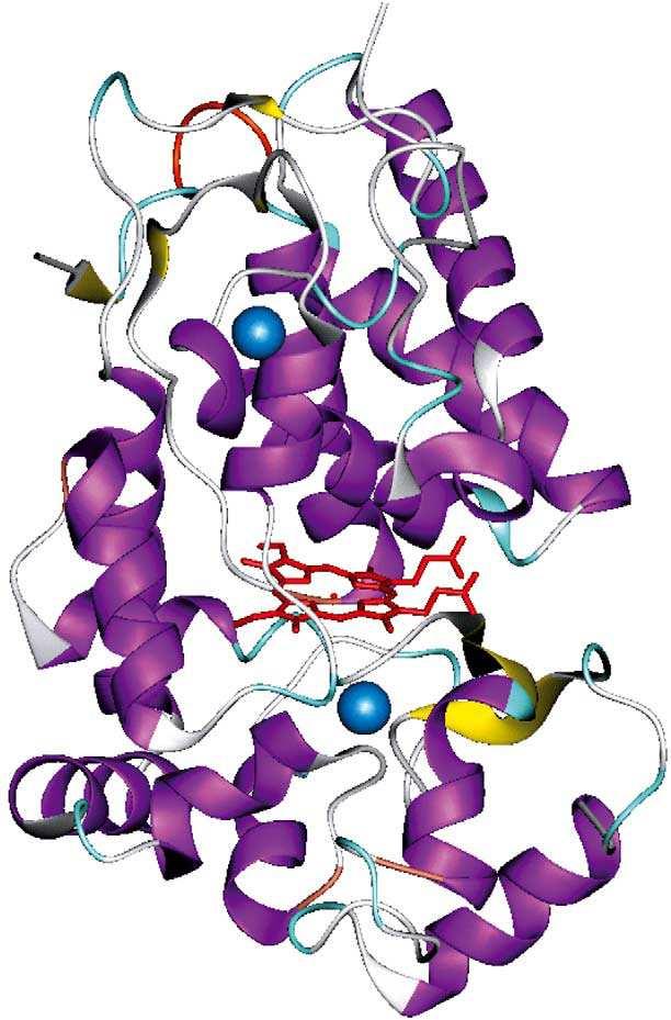vedoucí k dehydrogenaci, halogenace a dehalogenace, oxidace halogenidů, oxidační kondenzace aromatických aminů, oxidační polykondenzace fenolu a jeho derivátů, degradace ligninů, dekarboxylační