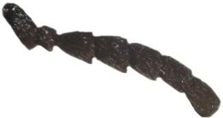 70 71 72 Obrázky