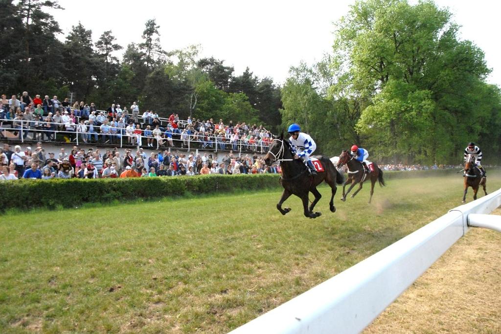 VÝROČNÍ ZPRÁVA MAS POLABÍ, O.P.S. ZA ROK 2014 ZPRACOVALA: Mgr.